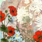 Summer Poppies I by R. Collier-Morales