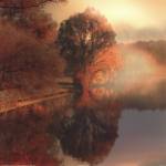 Summer Reflections by Irene Weisz