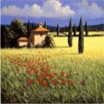 Summer's Brilliance by David Short