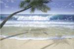 Summer Shade by Jacquelynn Kresman
