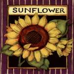Sunflower Seed Packet by Susan Winget
