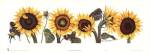 Sunflowers by Patricia Shilling-Stewart