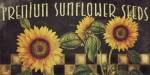 Sunflowers by Color Bakery