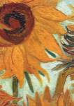 Sunflowers (Detail) by Vincent van Gogh