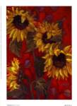 Sunflowers II by Shari White