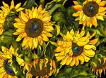 Sunflowers On a Field of Green by Kate Larsson