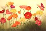 Sunlit Poppies by Janelle Kroner