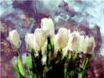 Sunlit Tulips II by Noah Bay