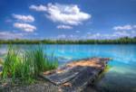 Sunny Day by Philippe Sainte-Laudy