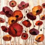 Sunrise Anemones by Silvia Vassileva
