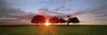 Sunset 3 by Wayne Bradbury Photography