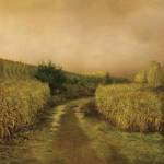 Sunset Cornfield by Dawne Polis