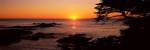 Sunset over the sea, Point Lobos State Reserve, Carmel, Monterey County, California, USA by Panoramic Images