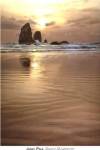 Sunset Silhouette by Janel Pahl