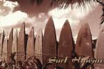 Surf Hawaii by Jason Ellis
