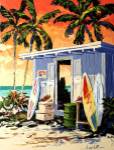 Surf Shop by Joseph LaPierre