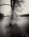 Surfactant by Geoffrey Ansel Agrons