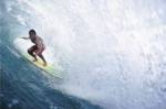 Surfing - In the Curl