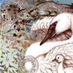 Swan Splash I by R. Collier-Morales