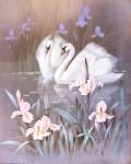 Swans With Waterlilies by T.C. Chiu