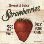 Sweet and Juicy Strawberries by David Carter Brown