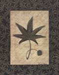 Sweet Gum by Susan Clickner
