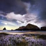 Sweet Illusion by William Vanscoy