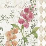 Sweet Pea by Color Bakery