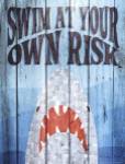 Swim at Your Own Risk by Susan Ball