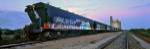 Tagged Train by Wayne Bradbury Photography