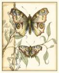 Tandem Butterflies I by Jennifer Goldberger