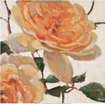 Tangerine Dream I by Jill Barton