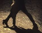 Tango in controluce by Paolo Di Rosa