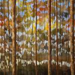 Tarnished Wood by Shawn Meharg