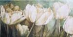 Taste of Summer by Linda Thompson