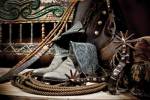TC's Boots and Yuma Spurs (color) by Barry Hart