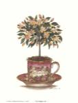 Tea Topiary #6 by Consuelo Gamboa