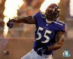 Terrell Suggs 2013 Action