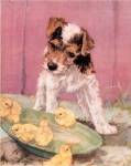 Terrier Trouble II