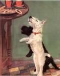 Terrier Trouble V