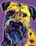 Terry by Sally Evans
