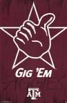 Texas A&M University - Logo 13