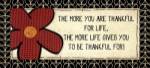 Thankful by Jo Moulton
