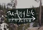 The Aim of Life by Leah Flores