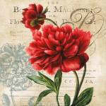The Botanist Magazine by Carol Robinson