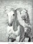 The Chase by Phyllis Burchett