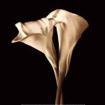The Embrace by John Rehner