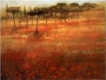 The Forest Afar by Ken Hildrew