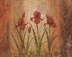 The Iris Style by Vivian Flasch