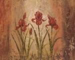 The Iris Style by Vivian Flasch